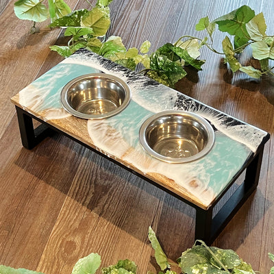 Ombre Pet Bowl